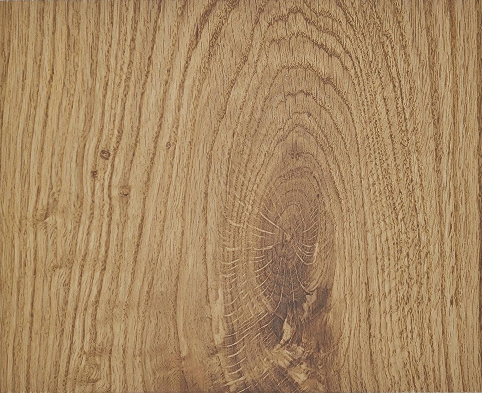 3600